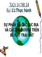 Bài 11. Thực hành: Sự phân bố các lục địa và đại dương trên bề mặt Trái Đất