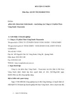 phân tích chiesn lược kinh doanh – marketing của công ty cổ phần than vàng danh vinacomin