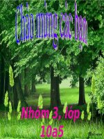 Bài 16. Thực hành: Nhận biết một số loại sâu, bệnh hại lúa