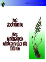 Bài 5. Đới nóng. Môi trường xích đạo ẩm