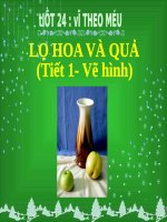 Bài 6. Lọ hoa và quả (Vẽ hình)