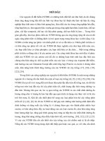 Nghiên cứu điều chế phức lantan xitrat và thử nghiệm làm chất kích thích sinh trưởng cây cà chua 