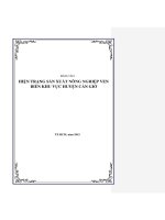 ĐÁNH GIÁ SẢN XUẤT NÔNG NGHIỆP CẦN GIỜ TP.HCM