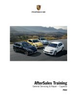 Porsche training p002 cayenne 
