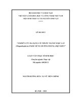Nghiên cứu tính đa dạng cây thuốc ngành ngọc lan (magnoliophyta) ở khu rừng mường phăng – điện biên 