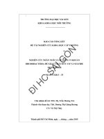 Nghiên cứu nhân nuôi và sử dụng vi khuẩn rhodobacteria để xử lý chất hữu cơ và sulfide trong nước 