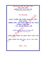 Phát triển tín dụng bán lẻ tại ngân hàng thương mại cổ phần đầu tư và phát triển việt nam – chi nhánh quảng trị 