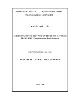 Nghiên cứu một số biện pháp kỹ thuật tạo cây trám trắng ghép (canarium album (lour) rausch) 