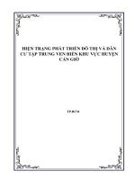 HIỆN TRẠNG PHÁT TRIỂN KHU DÂN CƯ ĐÔ THỊ CẦN GIỜ