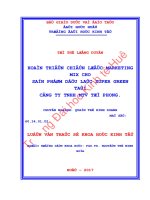 Hoàn thiện chiến lược marketing mix cho sản phẩm dầu lạc super green tại công ty TNHH MTV từ phong 