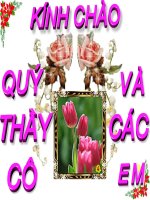 Bài 9. Biện pháp cải tạo và sử dụng đất xám bạc màu, đất xói mòn mạnh trơ sỏi đá