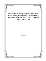 ĐỀ XUẤT GIẢI PHÁP GIẢI QUYẾT HOẠT ĐỘNG Ô NHIỄM VÀ CÁC GIẢI PHÁP QUẢN LÝ MÔI TRƯỜNG VÙNG VEN BIỂN CẦN GIỜ