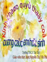 Tiết 31. OBH: Tiếng ve gọi hè. TĐN: TĐN số 9