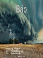 Nguyên nhân và cơ chế hình thành bão