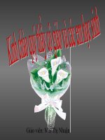 Bài 13. Luyện tập: Tính chất của nitơ, photpho và các hợp chất của chúng