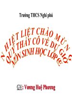 Bài 47. Thực vật bảo vệ đất và nguồn nước