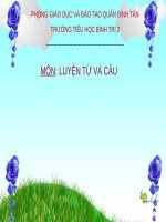 Tuần 31. MRVT: Từ ngữ về Bác Hồ. Dấu chấm, dấu phẩy