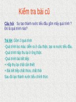 Bài 40. Vệ sinh hệ bài tiết nước tiểu