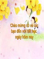 Bài 61. Tìm hiểu một số động vật có tầm quan trọng trong kinh tế ở địa phương