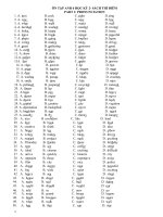 ôn tập kỳ 2 tiếng anh 6 thí điểm 