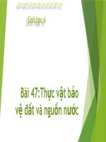 Bài 47. Thực vật bảo vệ đất và nguồn nước