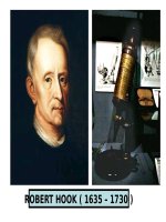 Bài 7. Cấu tạo tế bào thực vật