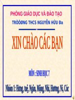 Bài 57. Đa dạng sinh học