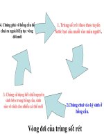 Bài 7. Đặc điểm chung và vai trò thực tiễn của Động vật nguyên sinh