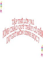 Bài 12. Một số giun dẹp khác và đặc điểm chung của ngành Giun dẹp