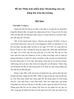 Phân tích chiến lược marketing của các hãng bia trên thị trường 