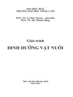 Giáo trình dinh dưỡng vật nuôi lê đức ngoan 