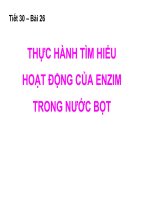 Bài 26. Thực hành: Tìm hiểu hoạt động của enzim trong nước bọt