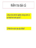 Bài 25. Biến dạng của lá