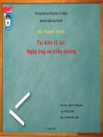 Hiện trạng ngập úng và triều cường ở Việt Nam
