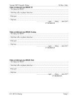 SKKNVan dung cac dinh luat bao toan de giai bai toan ve hon hop sat va oxit sat (1)