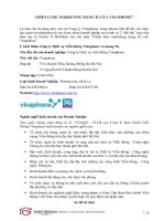 Đánh giá và phân tích chiến lược marketing mạng 3g của vinaphone 