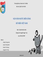 Kịch bản biến đổi khí hậu