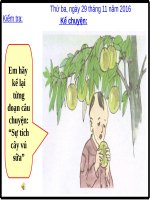 Tuần 13. Bông hoa Niềm Vui