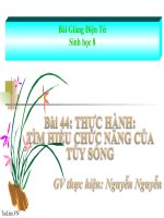 Bài 44. Thực hành: Tìm hiểu về hệ chức năng (liên quan đến cấu tạo) của tủy sống