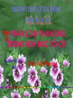 Bài 17. Phản ứng oxi hoá - khử