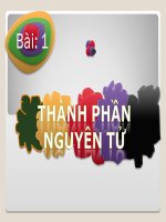 Bài 1. Thành phần nguyên tử