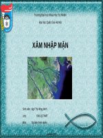Hiện trạng xâm nhập mặn bờ biển Việt Nam