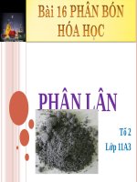 Bài 12. Phân bón hoá học