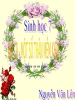 Bài 19. Một số thân mềm khác