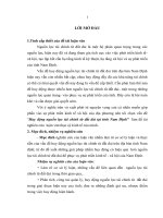 Huy động nguồn lực tài chính từ đất đai tại tỉnh nam định (tt) 