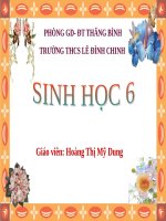 Bài 33. Hạt và các bộ phận của hạt