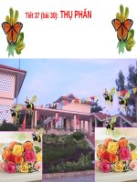 Bài 4. Có phải tất cả thực vật đều có hoa?