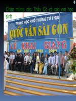 Bài 22. Cấu trúc phân tử hợp chất hữu cơ