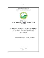 Nghiên cứu sử dụng chế phẩm phẩm sinh học từ lá xoan trong bảo quản gỗ 