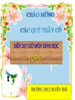 Bài 18. Biến dạng của thân